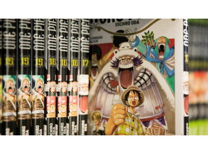 Collection manga One piece Tome 40 à 81 ( occasion )