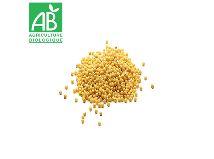 Millet décortiquée - 100g