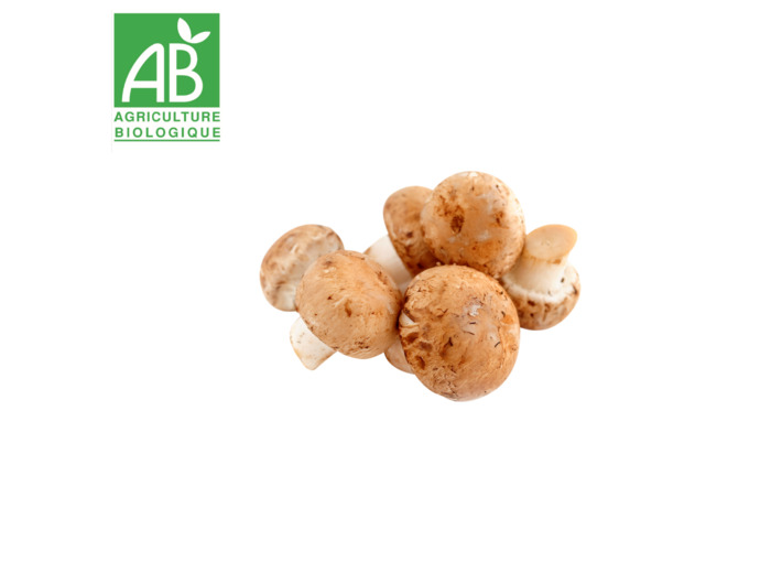 Champignons bruns - 500g
