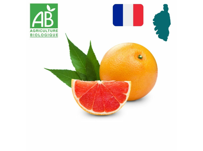 Pomelo Corse x 1