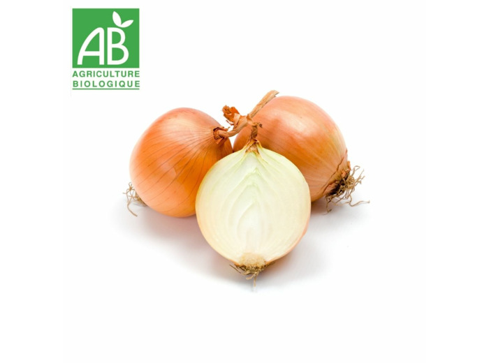 Oignons jaunes - 500g