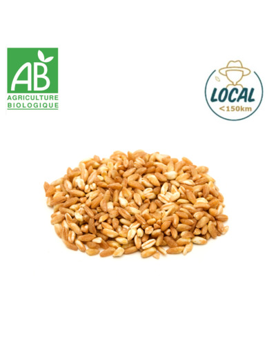 Petit épeautre - 100g