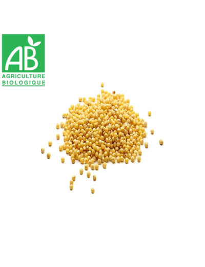 Millet décortiquée - 100g