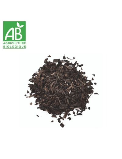 Thé Noir Fumé Lapsang Souchong - 100G
