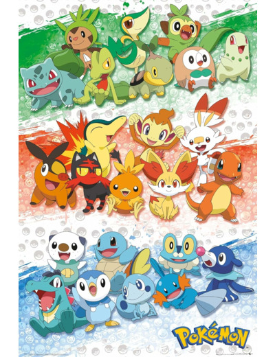 [POSTER] POKEMON - Poster Maxi 91,5x61 - Premiers Partenaires