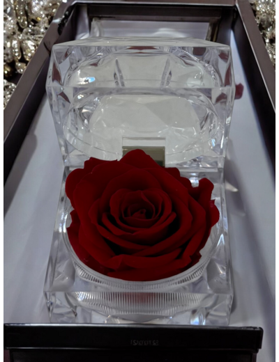 Boite alliance rose éternelle