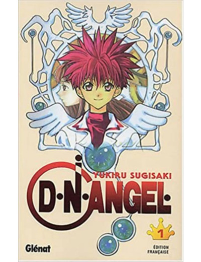 Livre DN Angel, Tome 1