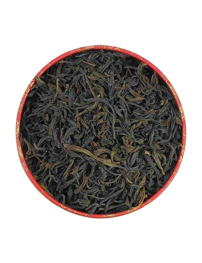 CEYLAN IDULGASHENA OP VERT BIO