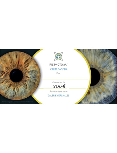 Carte cadeau 800€