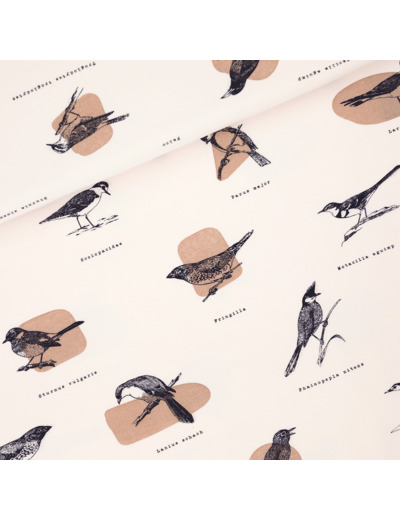 See You at Six - Tissu French Terry de Coton Imprimé "Ornithology" sur le Fond Légèrement Beige