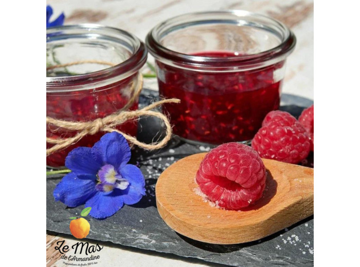 Confiture Framboise bio - 100g