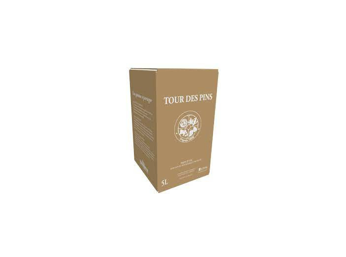 Fontaine à Vin IGP Pays d'OC Rosé Tour des Pins 5L