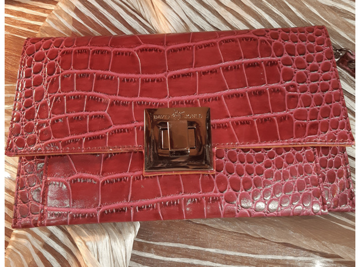 Pochette 21-808 David Jones