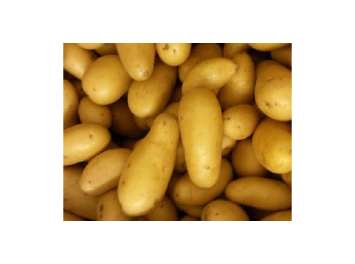 Pdt Charlotte 🇫🇷