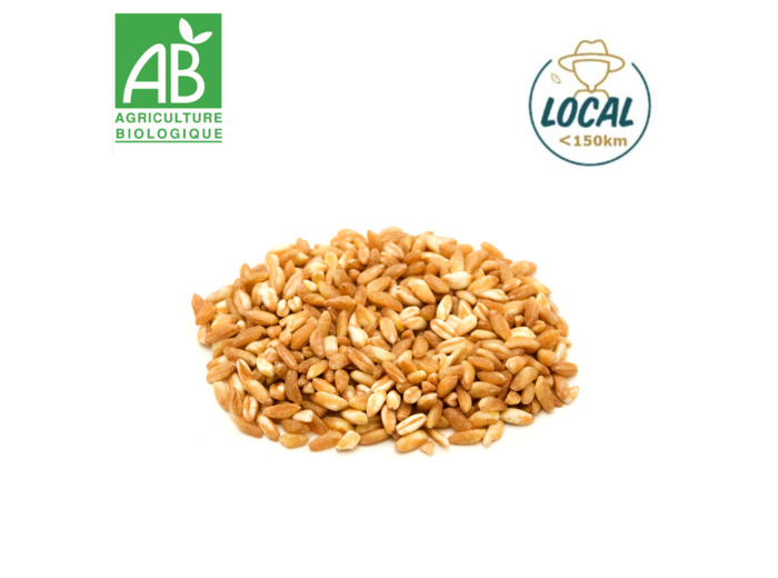 Petit épeautre - 100g