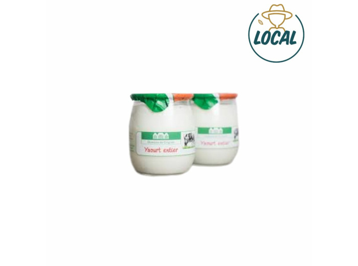 Yaourt nature x 1