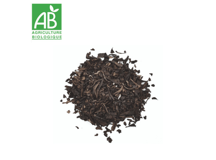 Thé Noir Fumé Lapsang Souchong - 100G