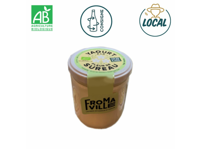 Yaourt Fleur de sureau 450g x 1
