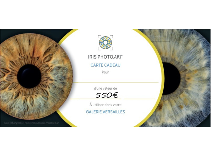 Carte cadeau 550€