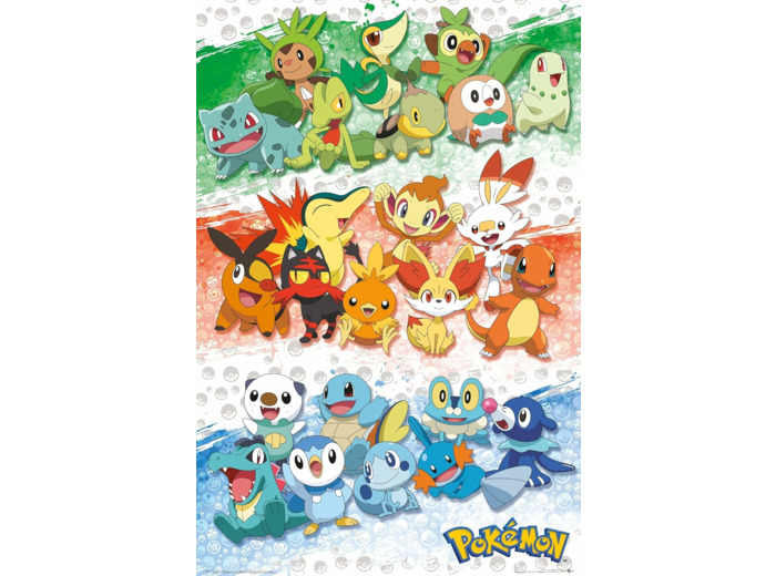 [POSTER] POKEMON - Poster Maxi 91,5x61 - Premiers Partenaires