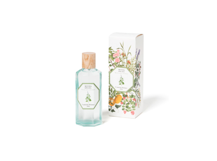 Vaporisateur Parfumé Menthe Verte