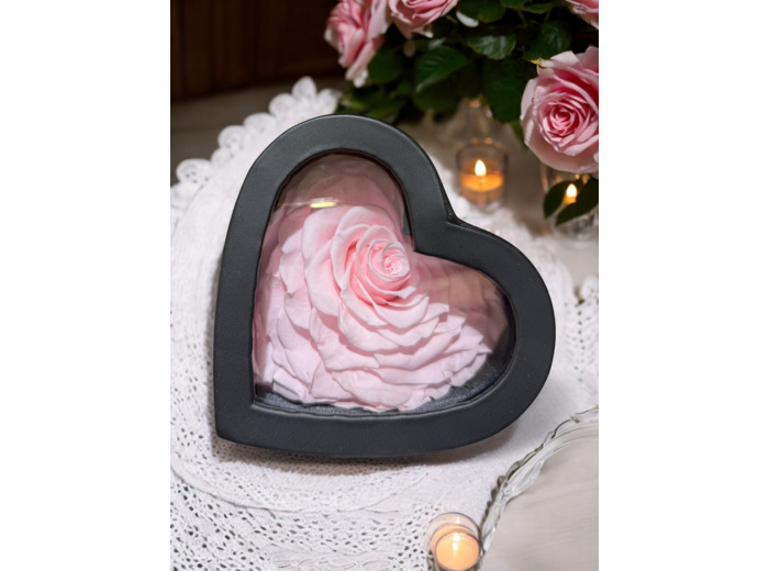 Rose éternelle dans son étui simili coeur noir