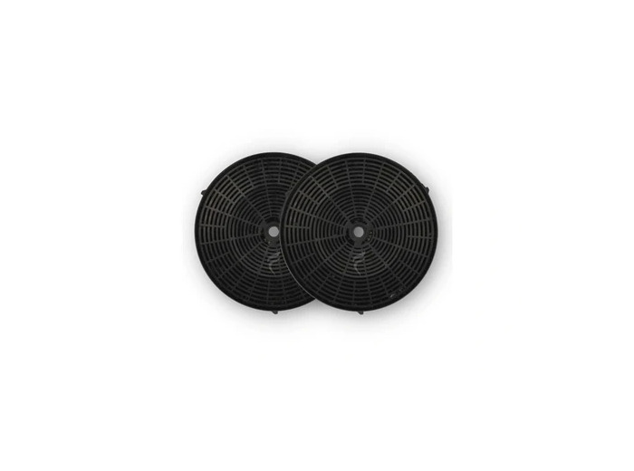 LOT DE 2 FILTRES A CHARBON