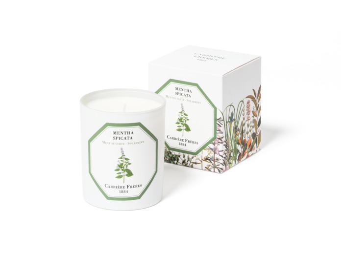Bougie Parfumée Menthe Verte