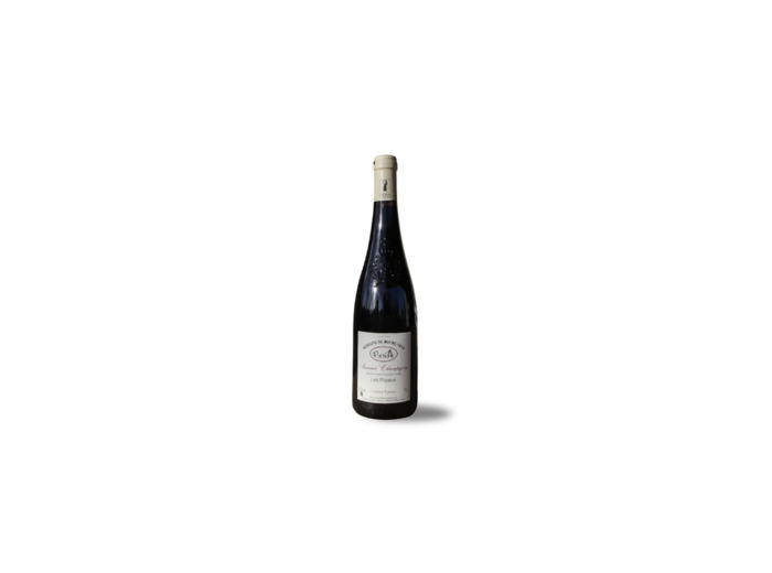 Domaine du Bourgneuf Saumur Champigny Vieilles Vignes AOP 2020