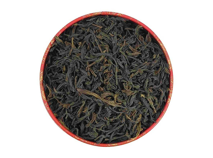 CEYLAN IDULGASHENA OP VERT BIO