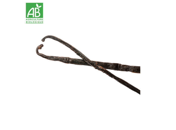 Gousse de Vanille de Madagascar
