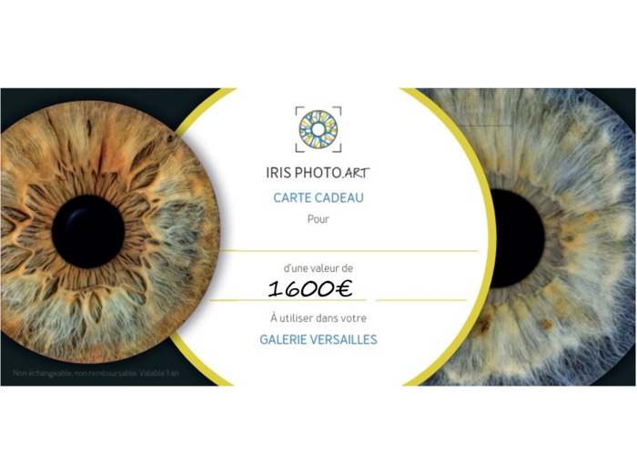 Carte cadeau 1600€