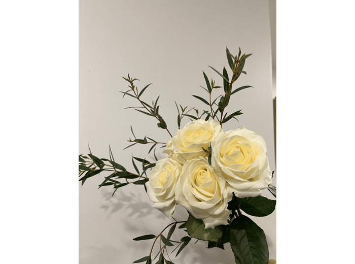 Botte de 5 Roses Blanches