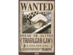 [POSTER] ONE PIECE - Poster  (91,5 x 61 cm) - Wanted Law Wano