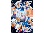 [POSTER] ONE PIECE - Poster (91,5 x 61 cm) - Gear 5th Dingo