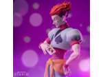 [FIGURINE] Hunter X Hunter - Hisoka
