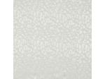 Sélection Coup de Coudre - Tissu Jacquard de Viscose Léopard Uni Ecru