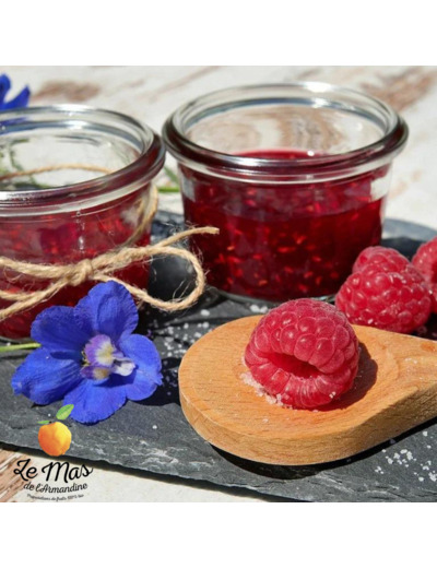 Confiture Framboise bio - 100g