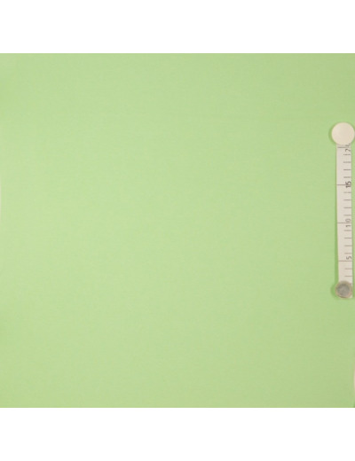 Fibre Mood - Tissu Jersey Bord-Cotes Uni Couleur Vert Amande