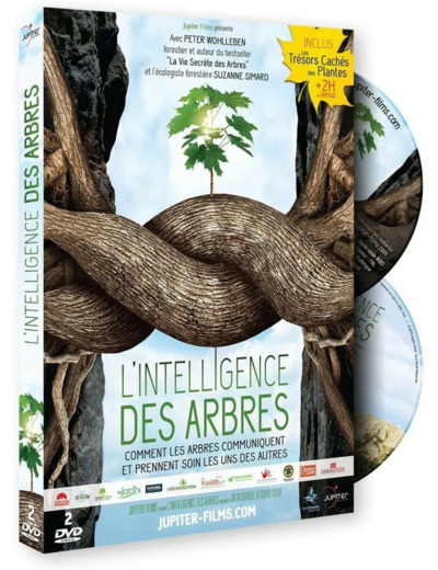 Blu-Ray Pokémon - Détective Pikachu - Blu - ray