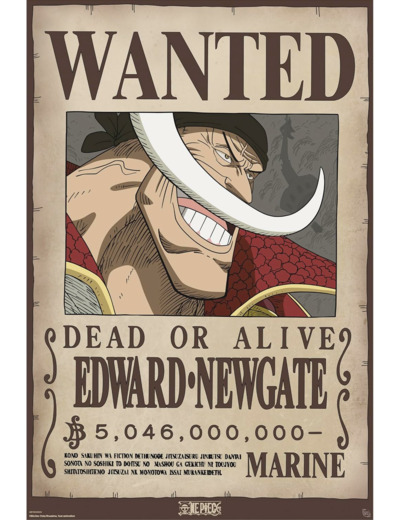 [POSTER] ONE PIECE - Poster Maxi 91,5x61 - Wanted Whitebeard