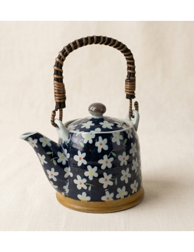 THÉIÈRE JAPONAISE MINOYAKI 0.35L - MIZUTAMA KOBANA