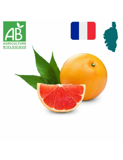 Pomelo Corse x 1