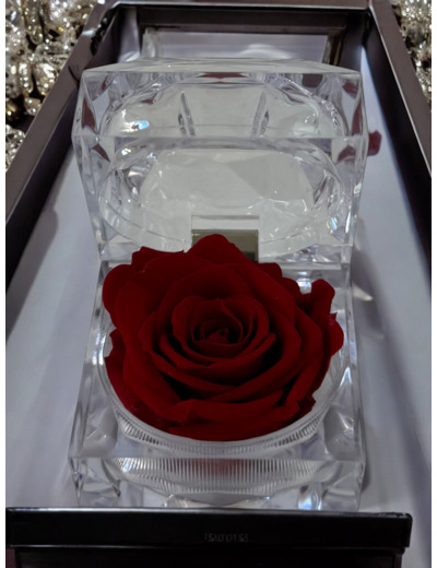 Boite alliance rose éternelle