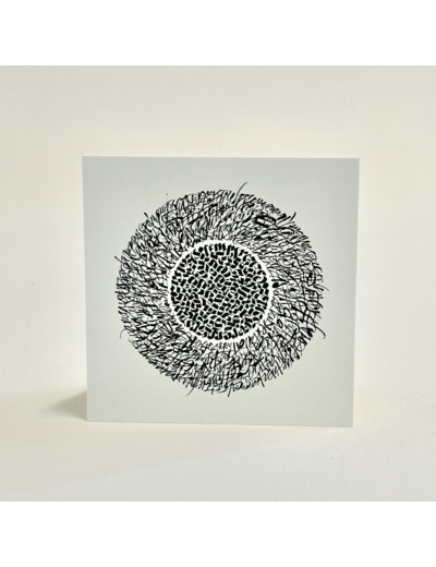 Carte de correspondance 12\12 - P161114