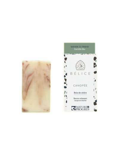 Bélice - Canopée