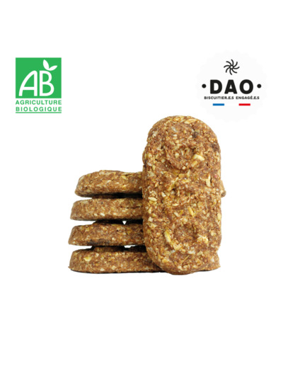 Biscuit Chocolat Petit Déj Sans Gluten- 100g