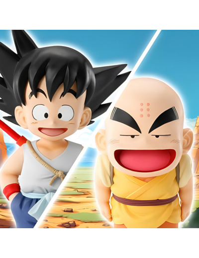 Son Goku & Krillin Training Section Ichibansho