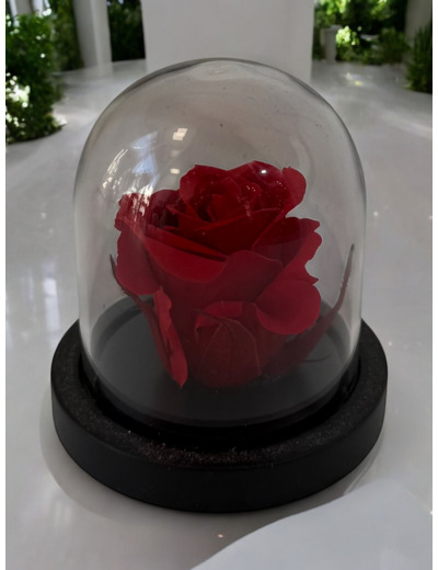 Mini cloche éternelle