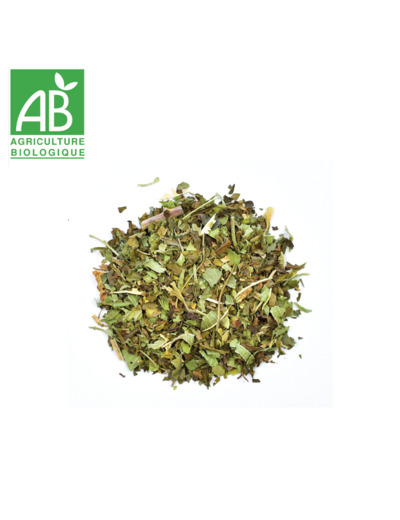 Verveine Menthe - 100g